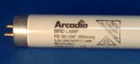 Arcadia Bird Lamp 8W